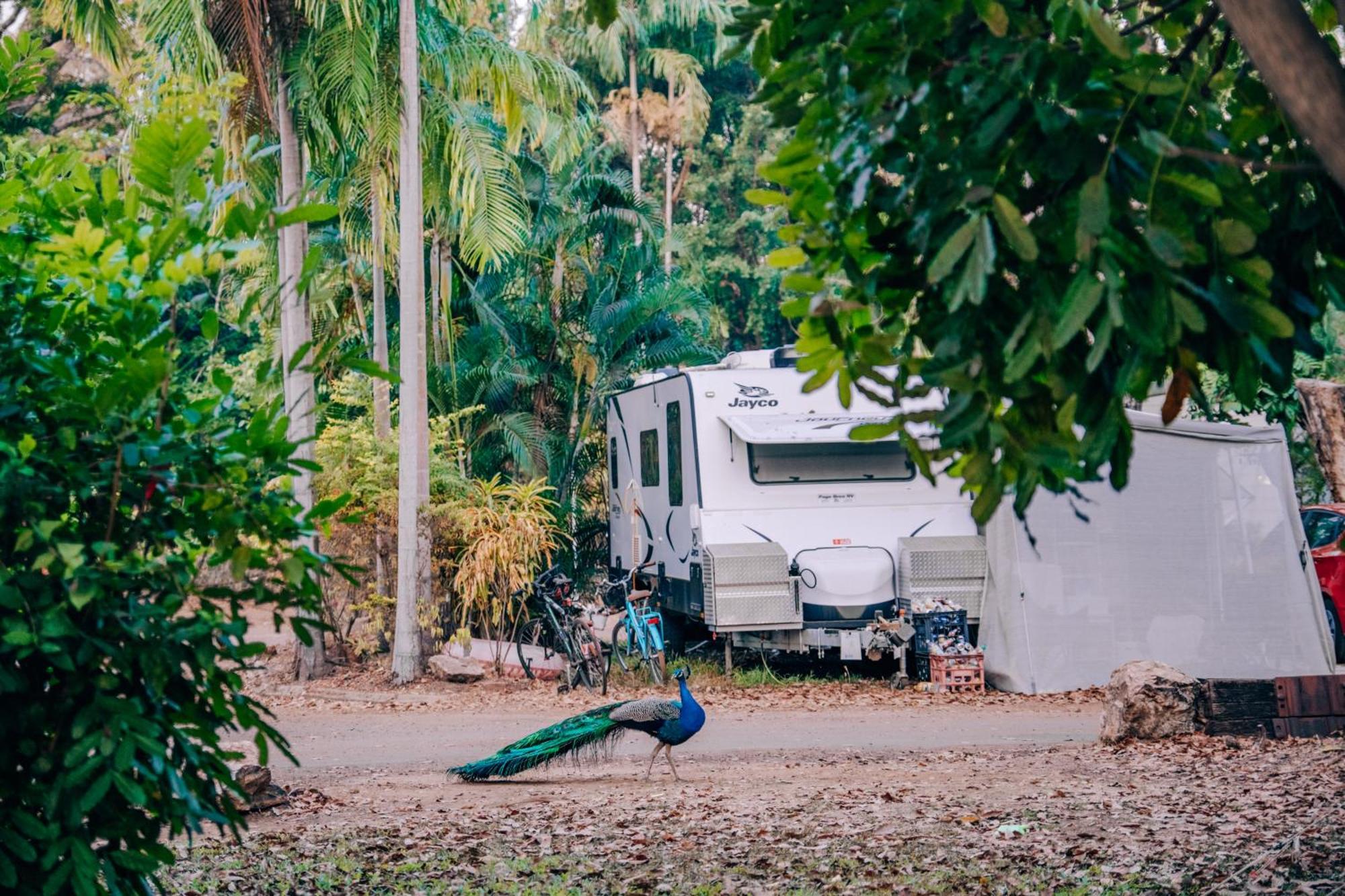 Big4 Howard Springs Holiday Park Darwin Exteriér fotografie